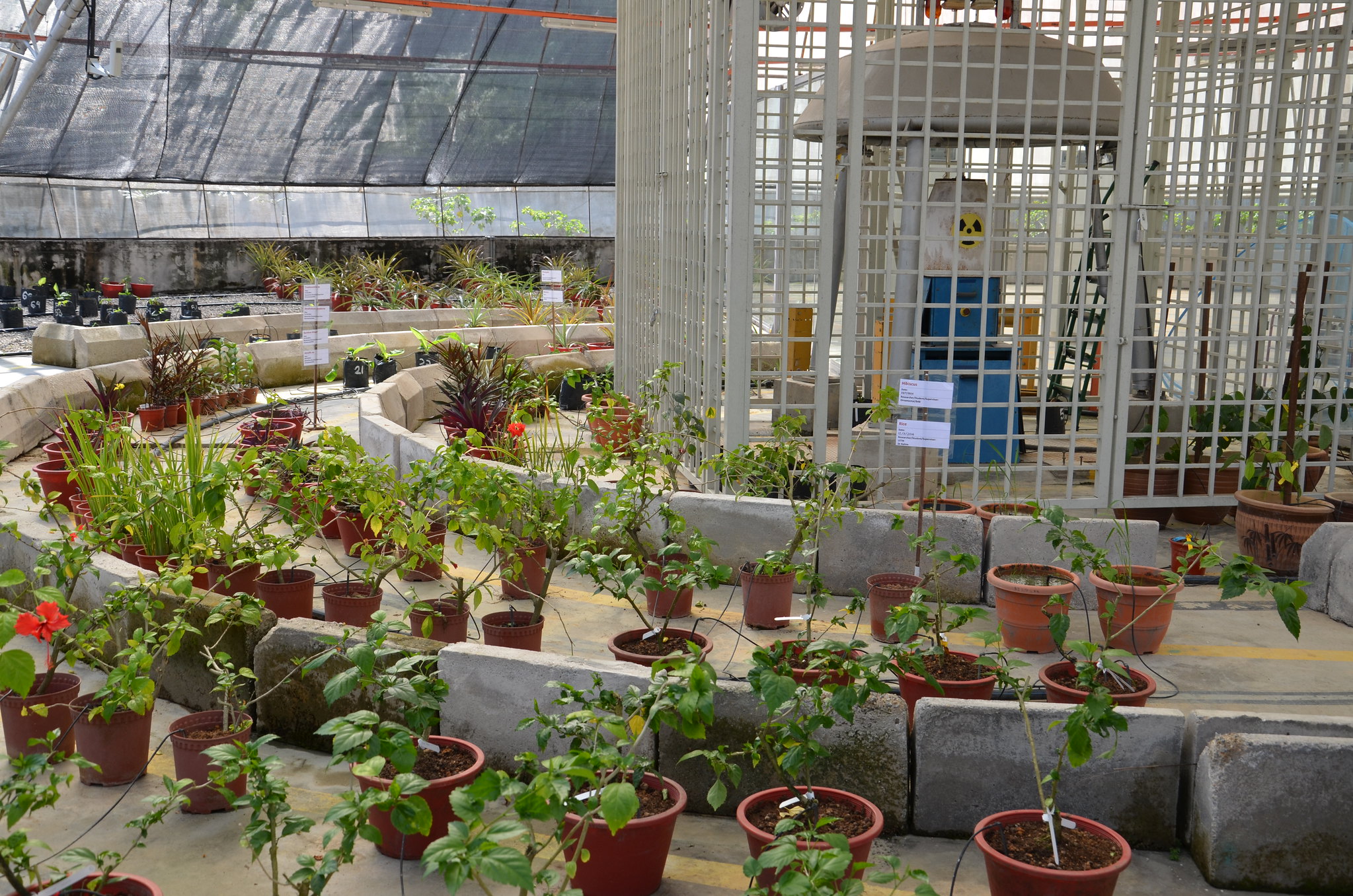 gamma_greenhouse_in_malaysia.jpg